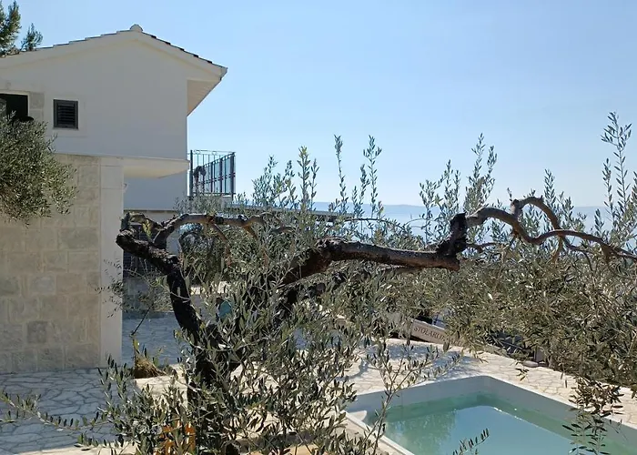 Olive Stone House Villa